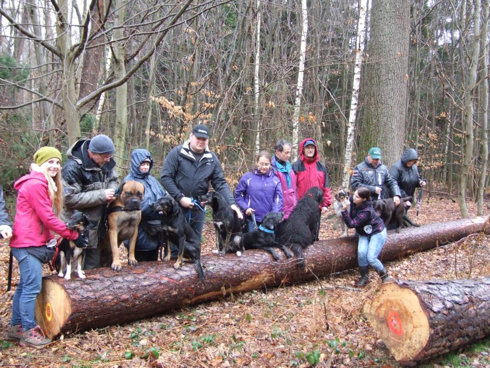 Junghundegruppe Sigrid Mai 2014