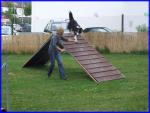 Fackelnacht 2011 mit Agility-Turnier