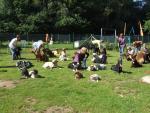 Freilauftreffen 2012